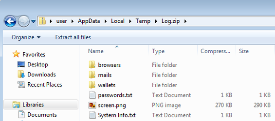 Raccoon Malware Log Image